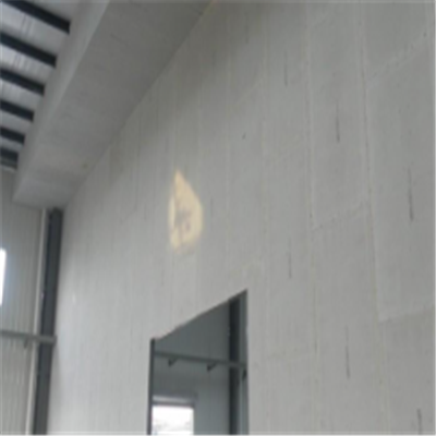 鹿邑宁波ALC板|EPS加气板隔墙与混凝土整浇联接的实验研讨